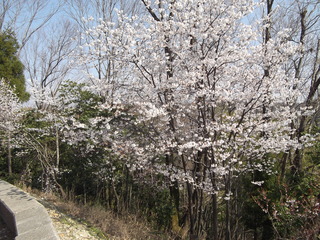 DSCF9496.JPG