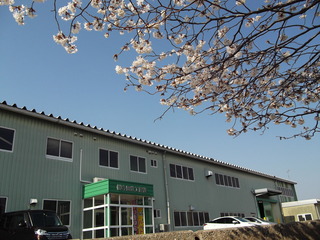 DSCF9498.JPG